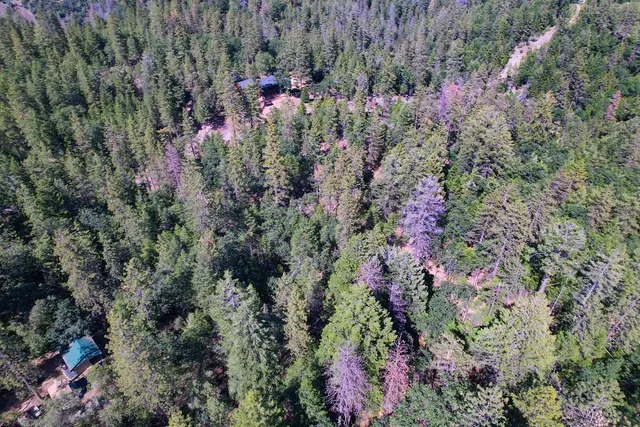 a view of a house with a flower garden