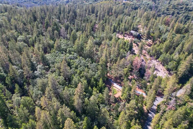 a view of a forest with a lush green forest