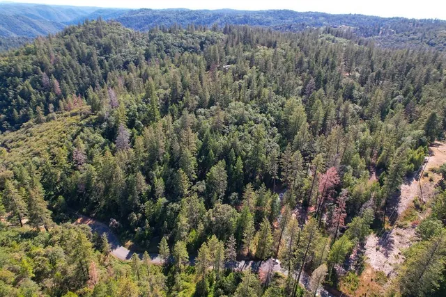 a view of a lush green forest with mountains in the background