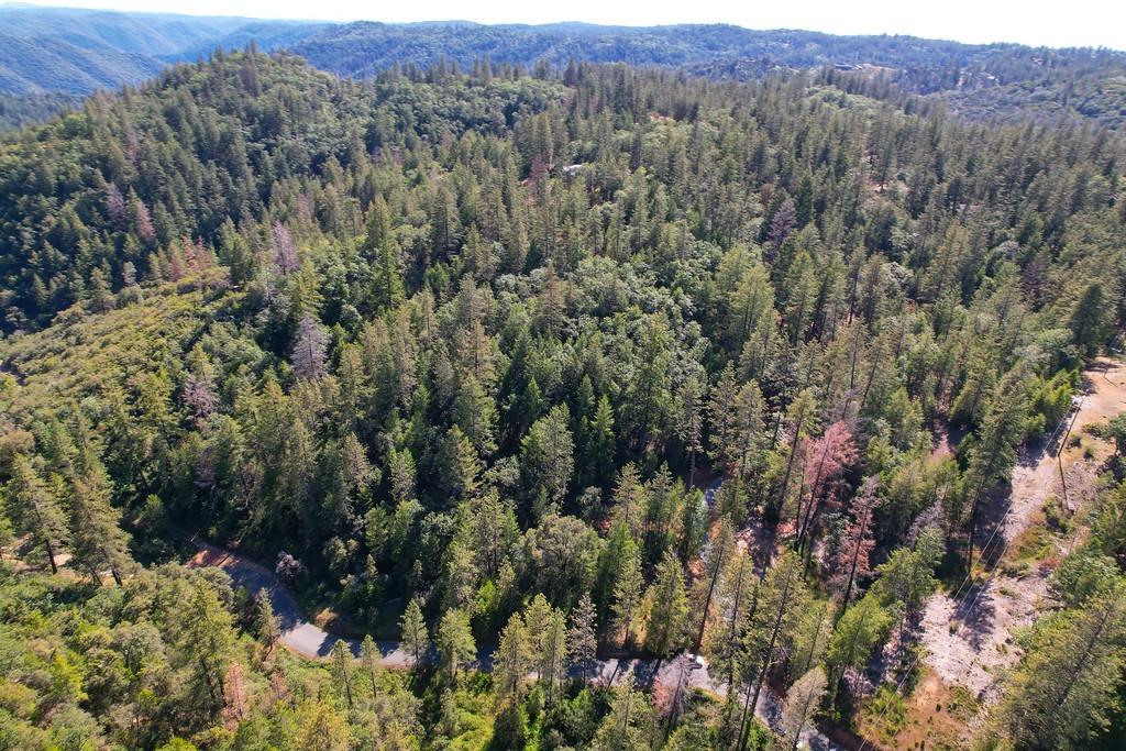 2000 Ponderosa Way Colfax, CA 95713 - Photo 34 of 38 a view of a forest with a lush green forest
