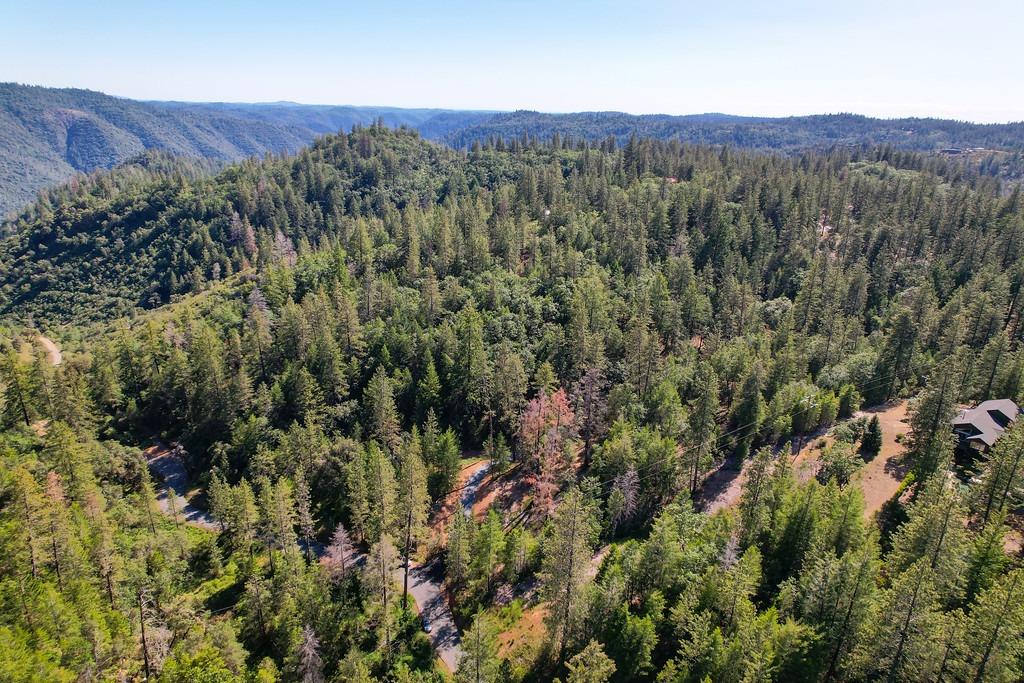 2000 Ponderosa Way Colfax, CA 95713 - Photo 35 of 38 a view of a lush green forest with mountains in the background