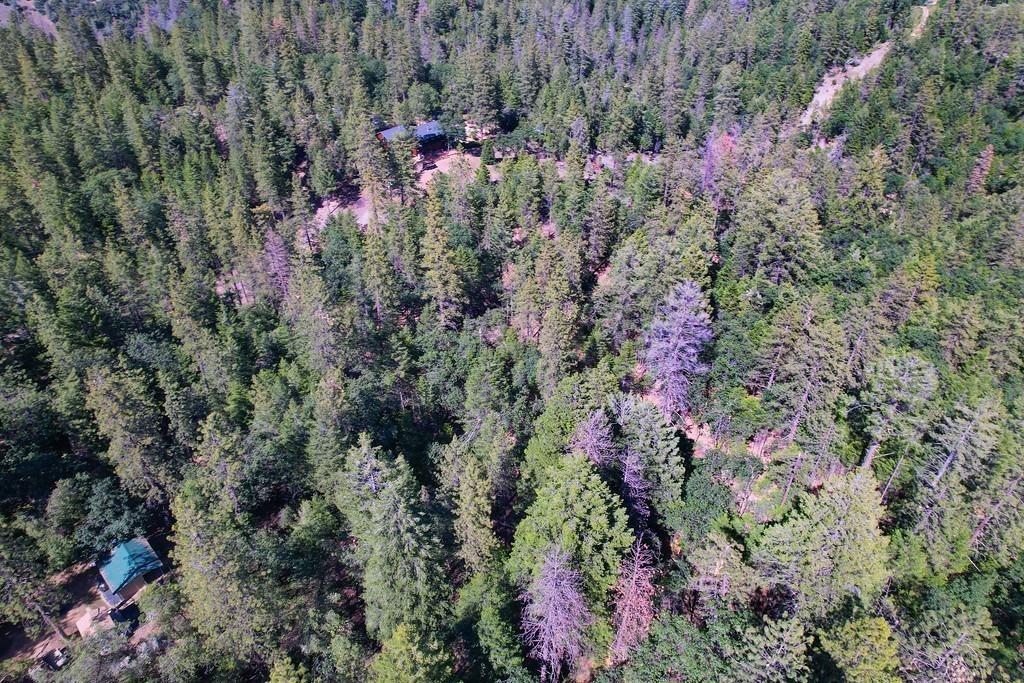 2000 Ponderosa Way Colfax, CA 95713 - Photo 36 of 38 a view of a house with a yard and garden