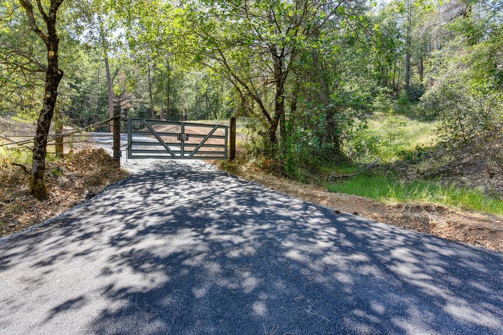 2000 Ponderosa Way Colfax, CA 95713 - Photo 37 of 38 a view of a park with large trees