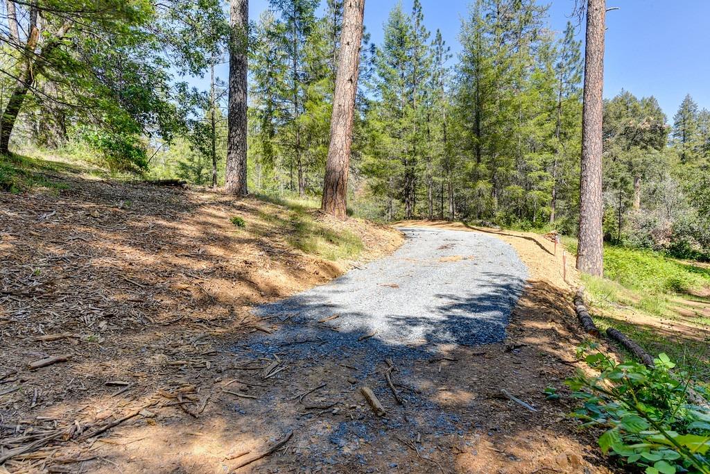 2000 Ponderosa Way Colfax, CA 95713 - Photo 6 of 38 a view of a yard with plants and trees
