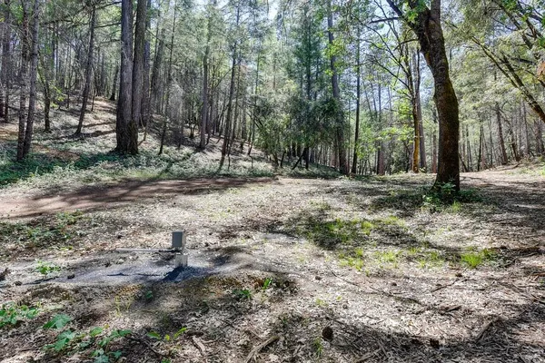 a view of a yard with trees