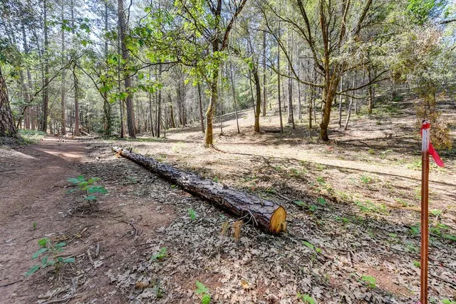 a view of a yard with snow on the road