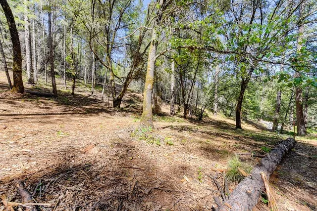 a view of covered with snow