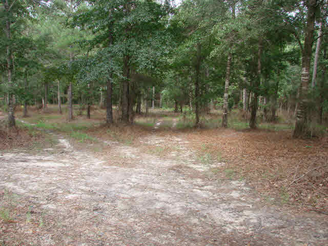 9311 D'Olive Road Daphne, AL 36527 - Photo 1 of 1