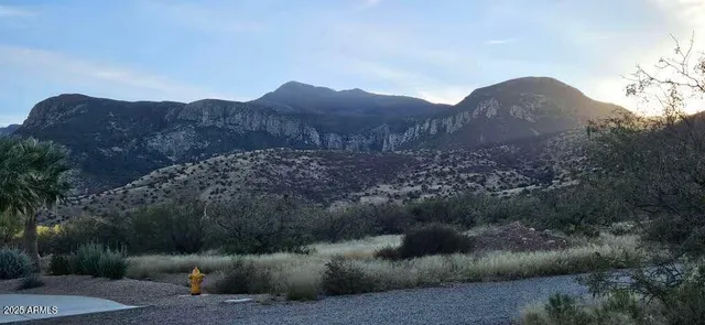 a view of a back yard