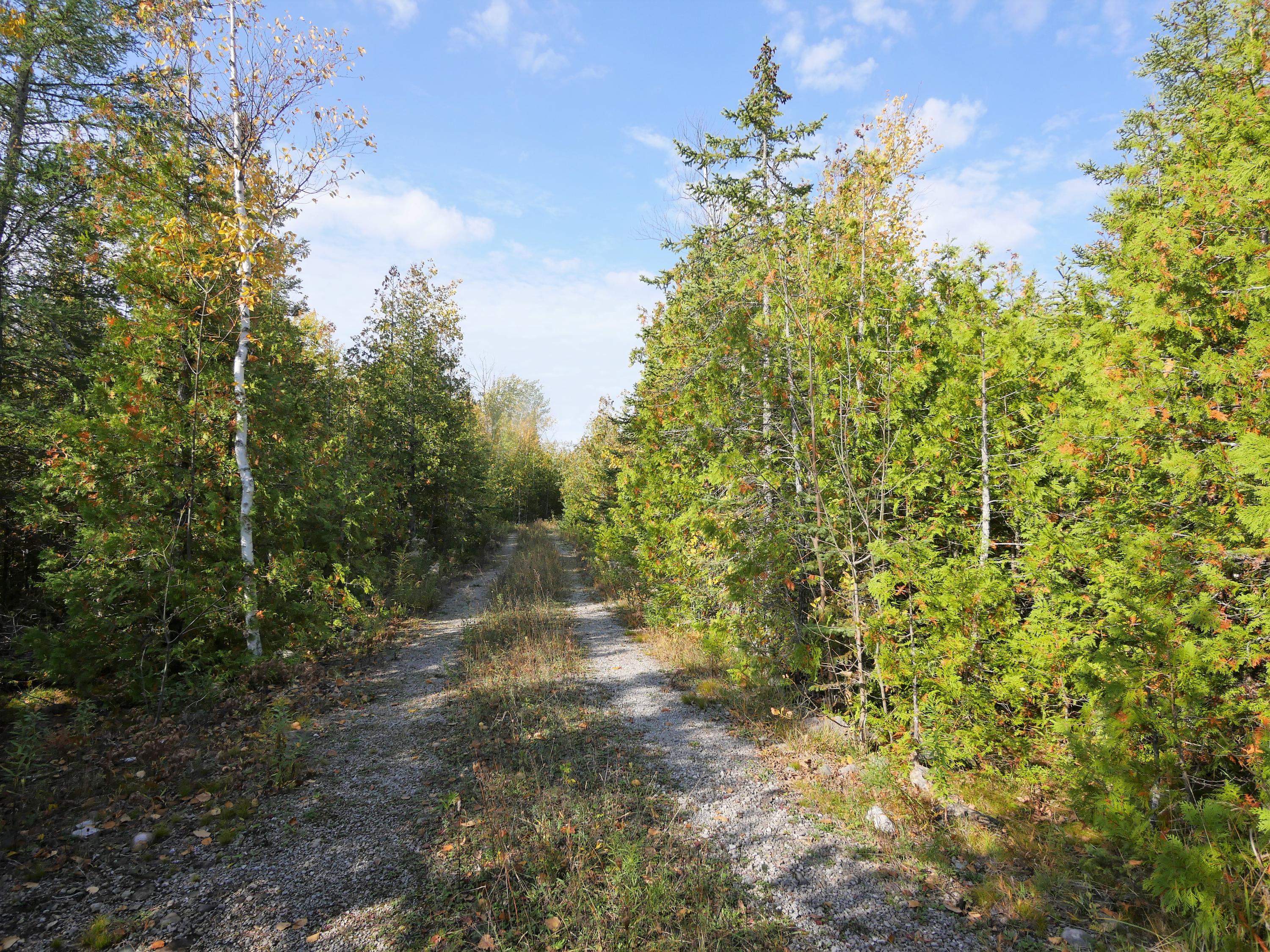 6237 Grand Point Road Presque Isle, MI 49777 - Photo 12 of 20 Gallery Image 12