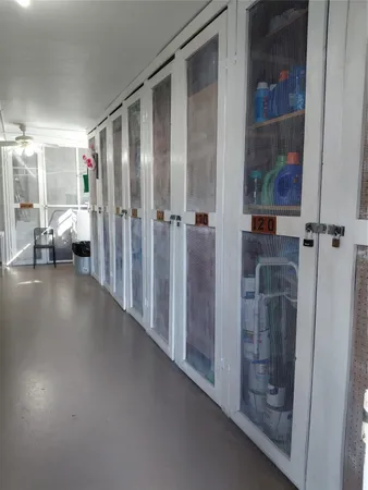 a view of a garden with a palm tree