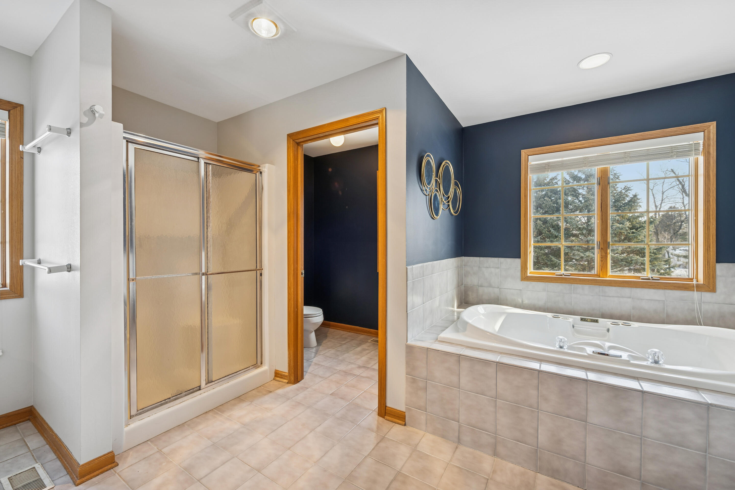 1025 Timothy Drive Lake Geneva, WI 53147 - Photo 9 of 16 Primary bath w/jetted tub and walk in shower