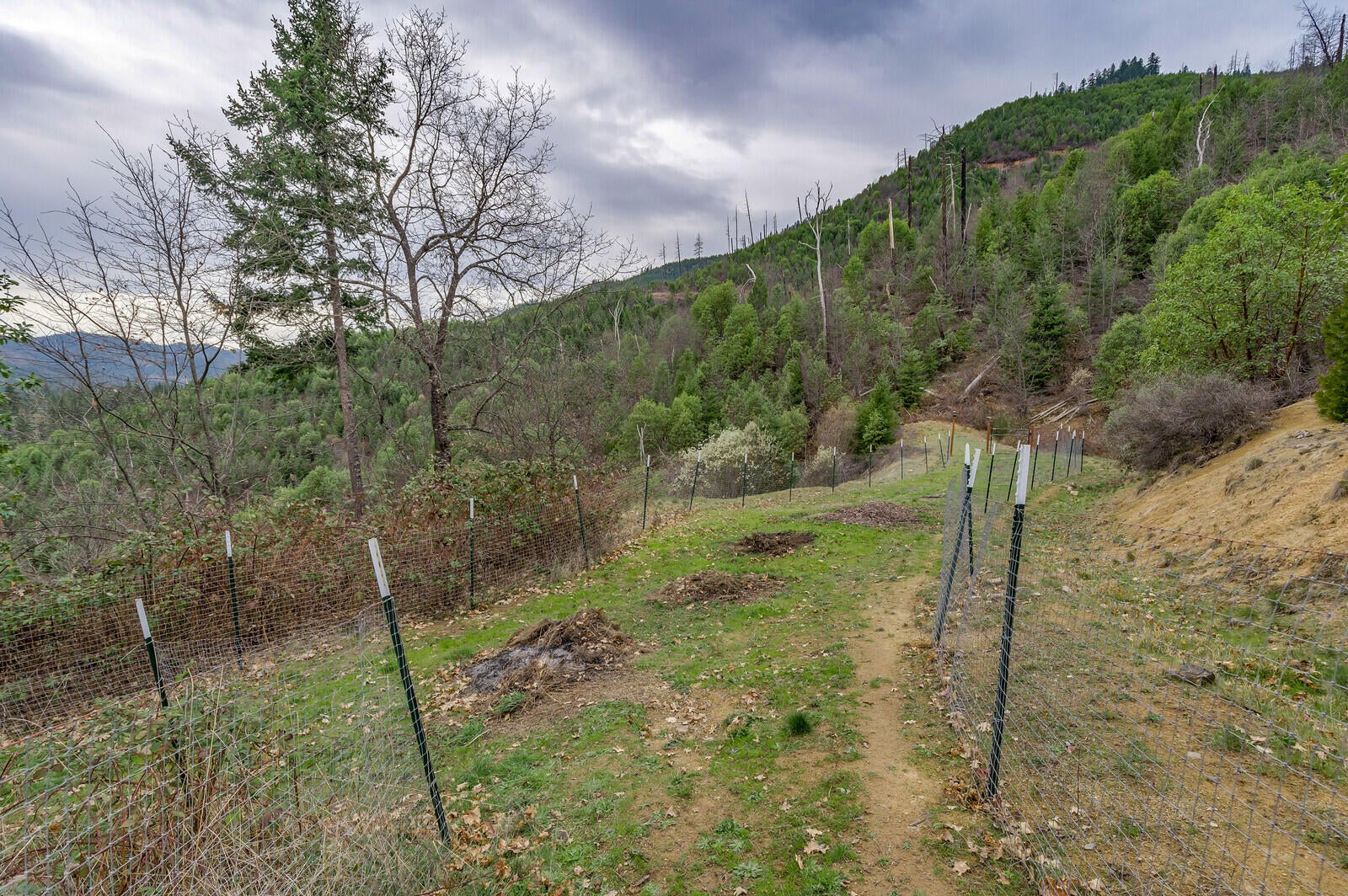 5717 Elk Creek Road Trail, OR 97541 - Photo 47 of 73 5717ELKCRK (17)
