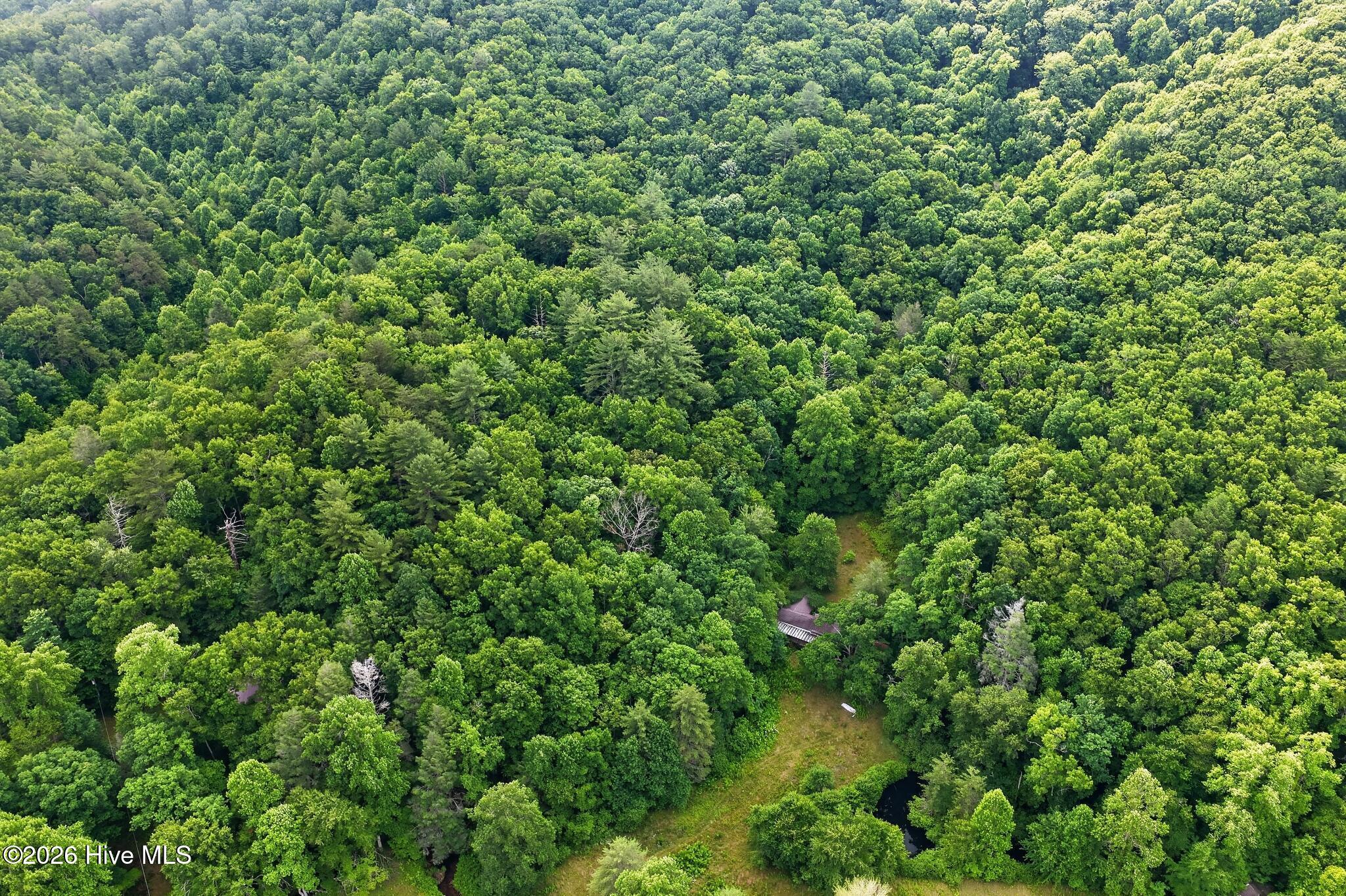 1881 Shoal Creek Road Murphy, NC 28906 - Photo 7 of 18