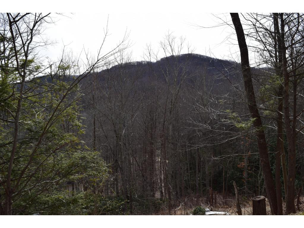 157 Fiddlers Branch Road Hampton, TN 37658 - Photo 18 of 19 Photo 19