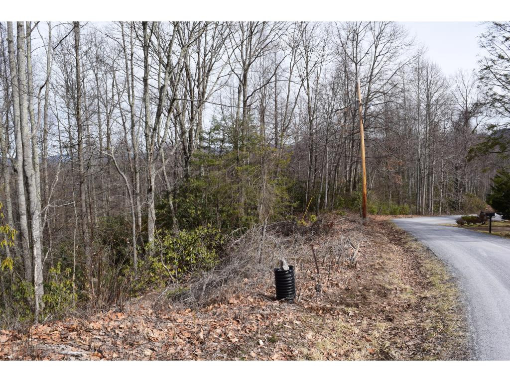157 Fiddlers Branch Road Hampton, TN 37658 - Photo 5 of 19 Photo 5