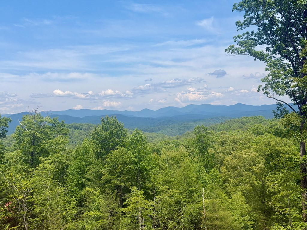 50 Lake Wood Road Murphy, NC 28906 - Photo 3 of 10