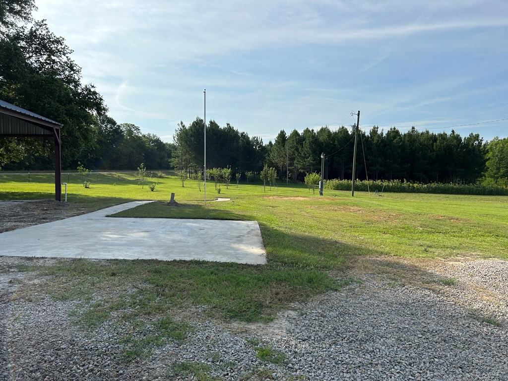 3876 D D Hodge Road Cottonwood, AL 36320 - Photo 16 of 48
