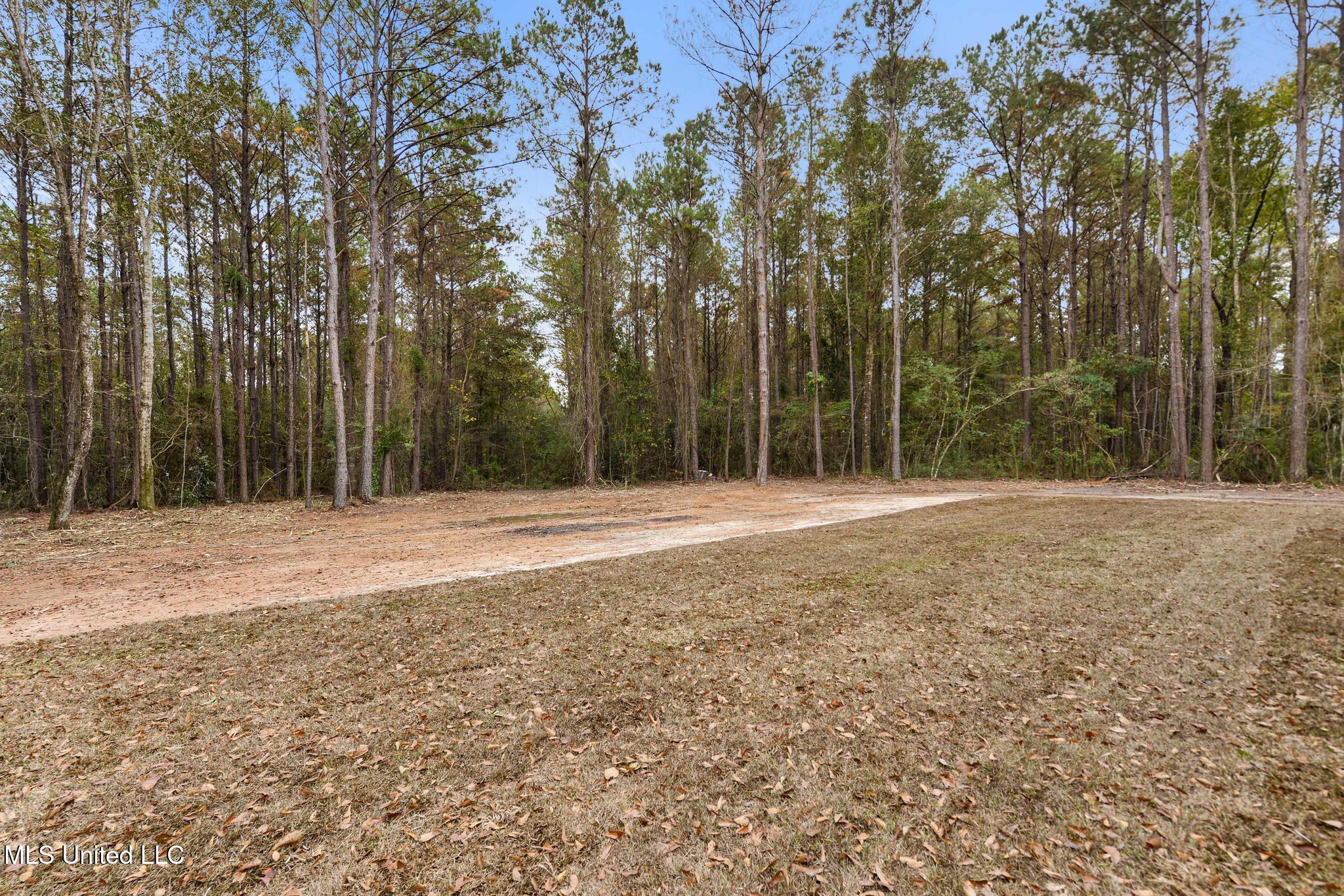 5360 Hoda Road Kiln, MS 39556 - Photo 26 of 38 Backyard