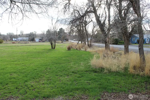 a view of backyard with green space