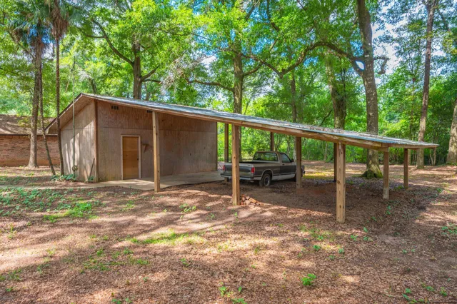 a view of backyard with green space and trees