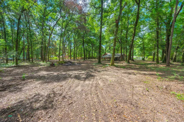 a view of a field with trees in the background