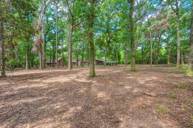 a view of outdoor space with tree s