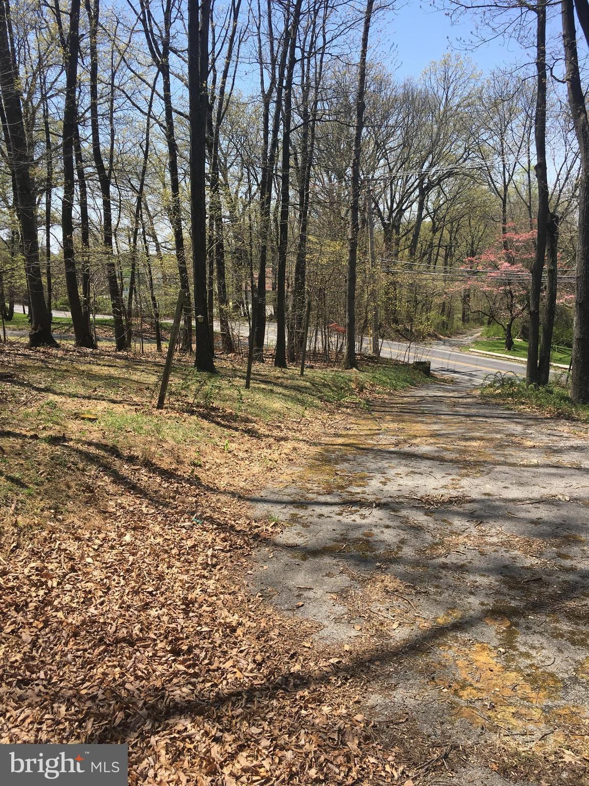 9033 Old Court Road Windsor Mill, MD 21244 - Photo 5 of 5 View