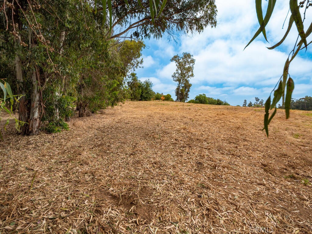 0 McDonald Road Fallbrook, CA 92028 - Photo 16 of 37 Gallery Image 16