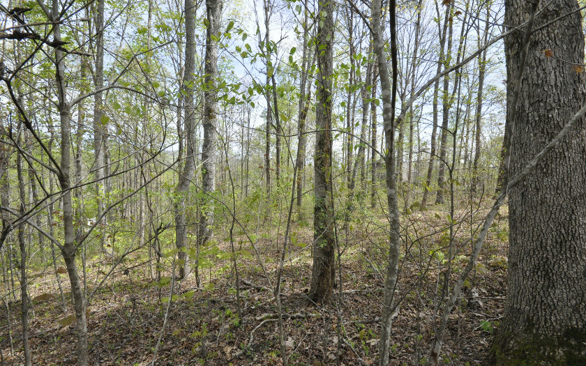 Lot 9 Conners Ridge Drive Young Harris, GA 30582 - Photo 1 of 1 Main View