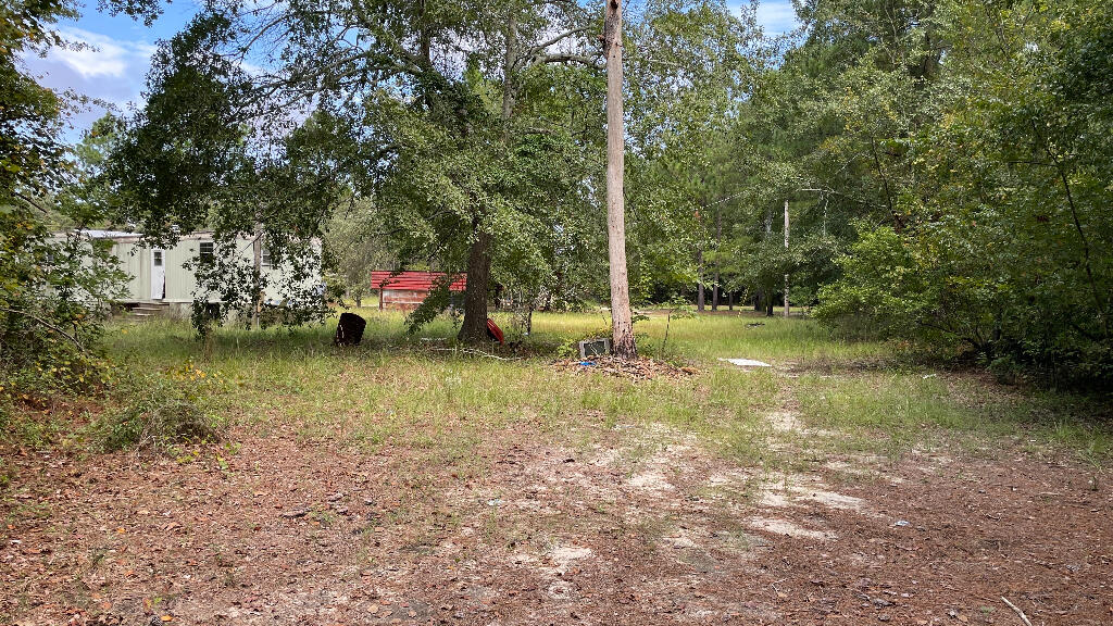 179 Jeffcoat Lane Ridge Spring, SC 29129 - Photo 21 of 24