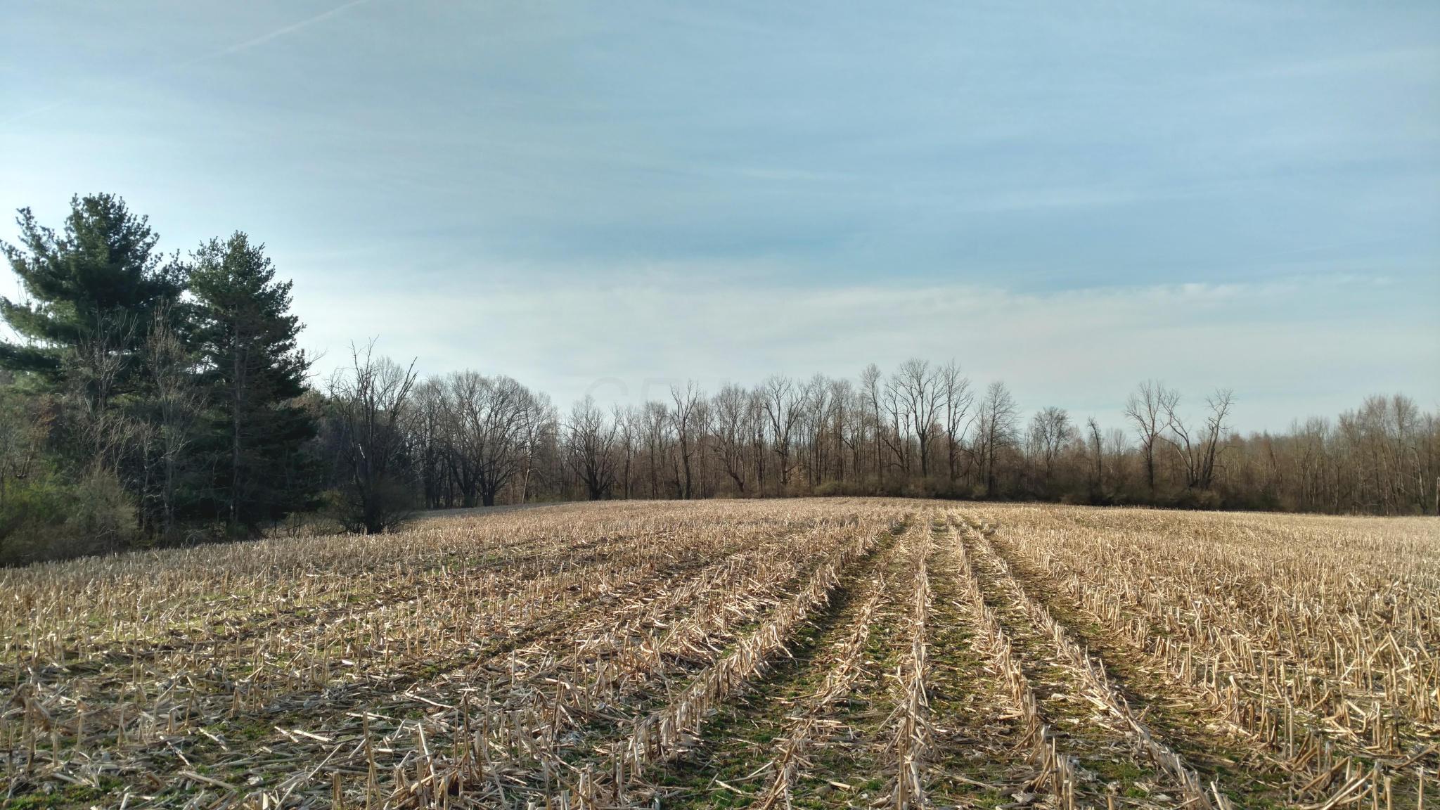 0 Beecher Road Southwest Pataskala, OH 43062 - Photo 1 of 10