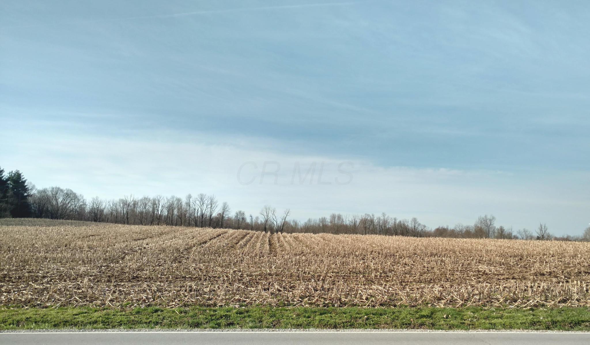 0 Beecher Road Southwest Pataskala, OH 43062 - Photo 4 of 10