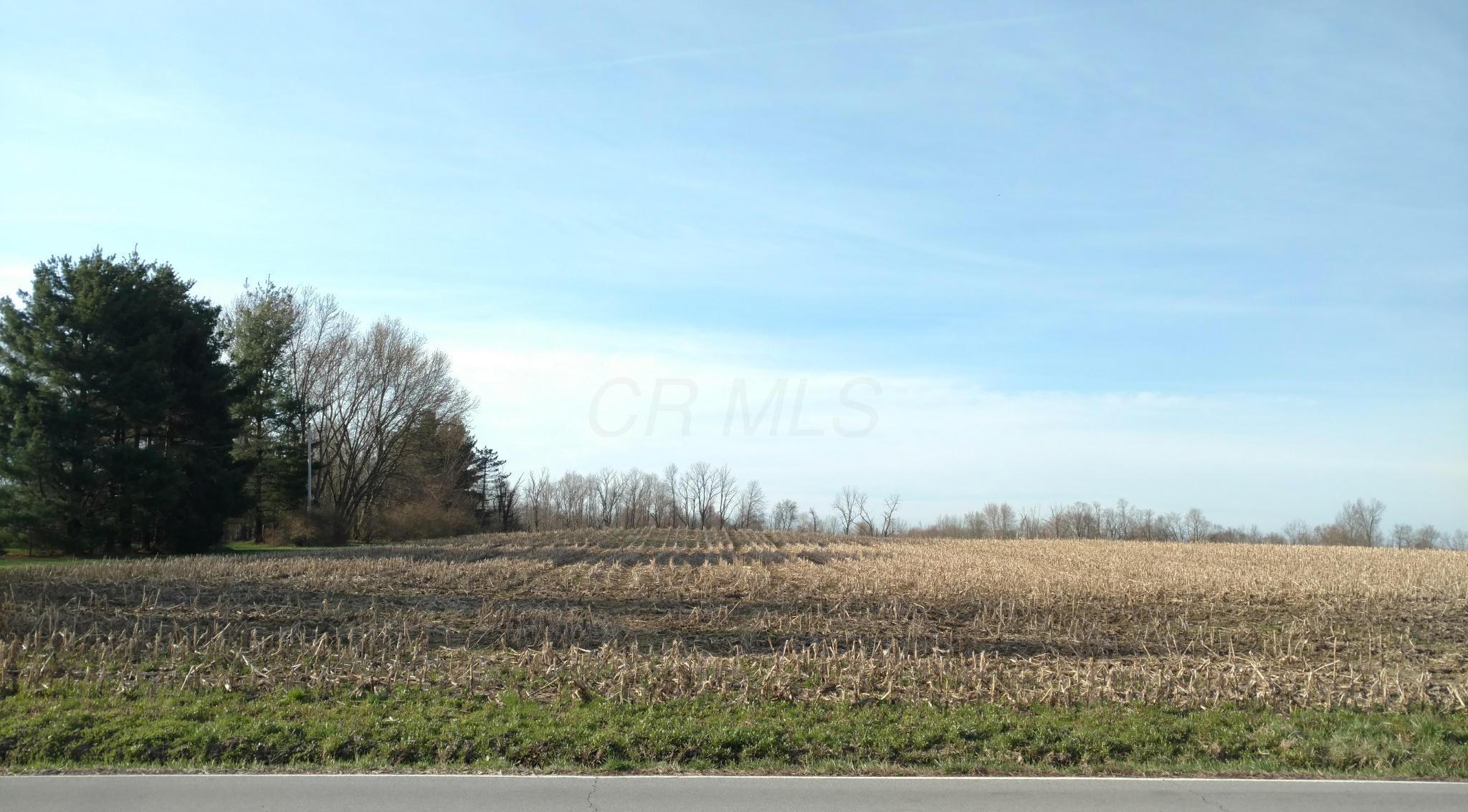 0 Beecher Road Southwest Pataskala, OH 43062 - Photo 5 of 10