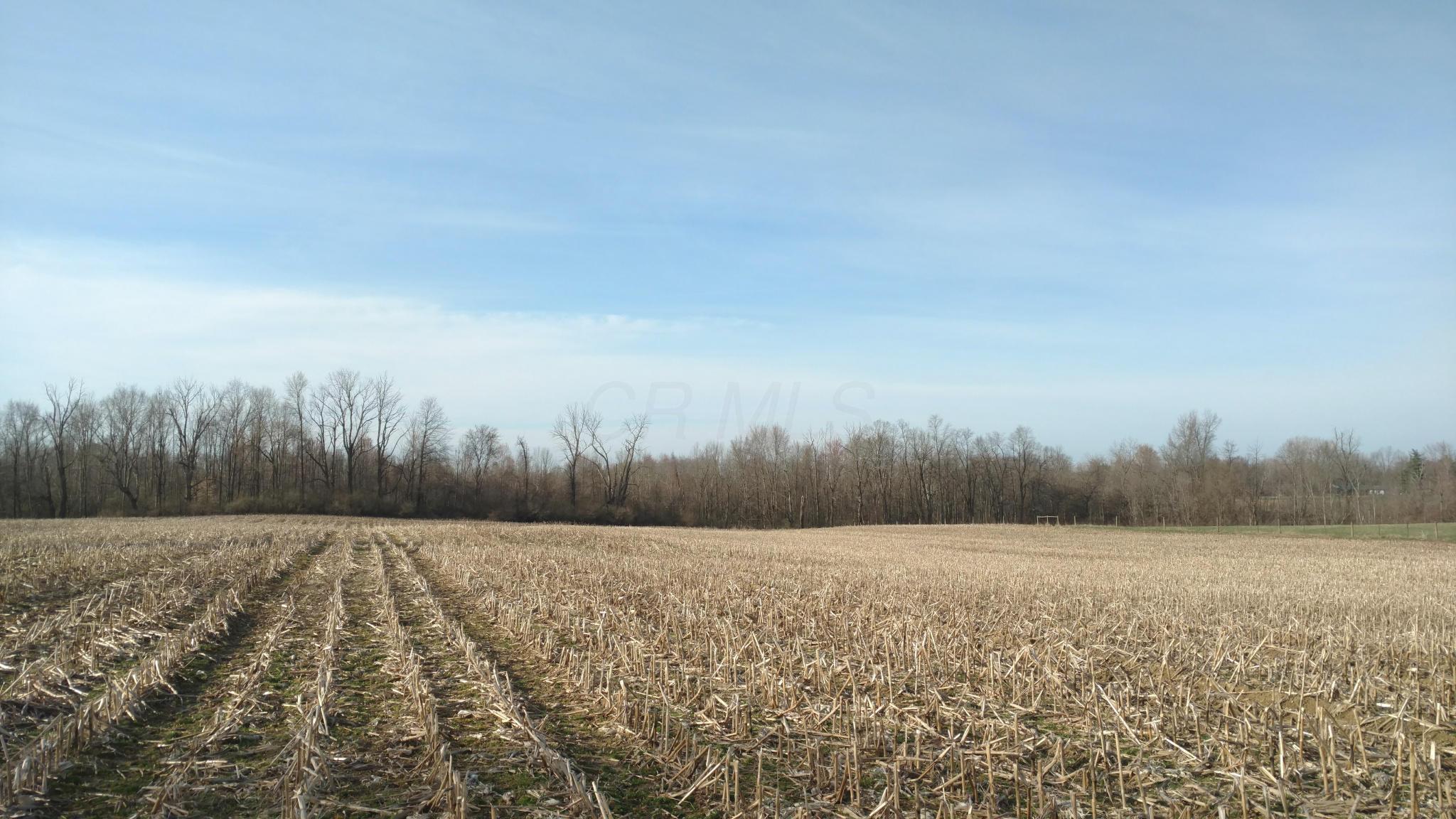 0 Beecher Road Southwest Pataskala, OH 43062 - Photo 6 of 10