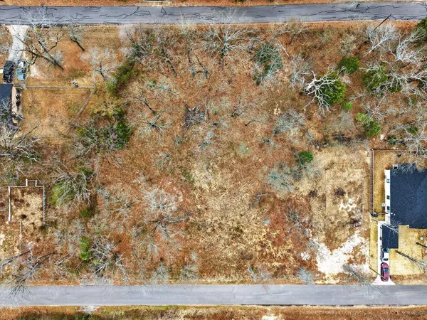a view of a yard