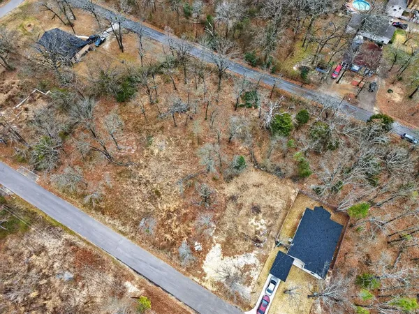 a view of a yard from a window