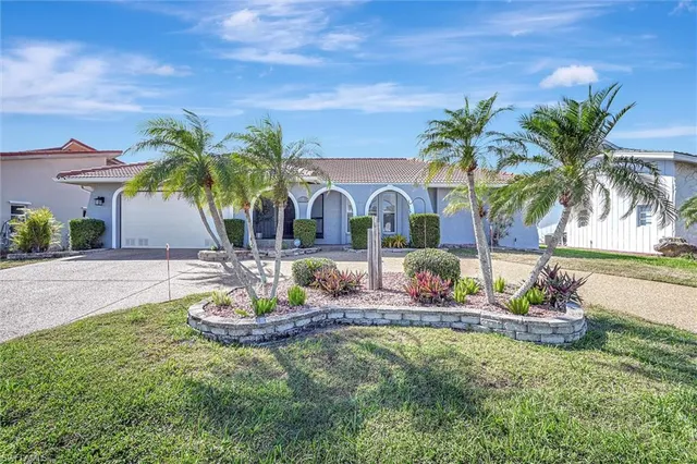 a view of a backyard with palm trees