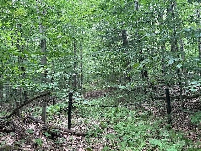 0 North Road Salisbury Center, NY 13454 - Photo 1 of 1 Gallery Image 1