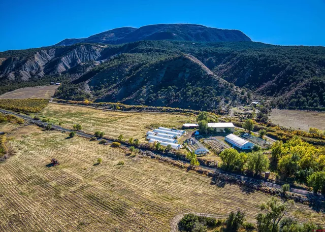 a view of a backyard with wooden fence