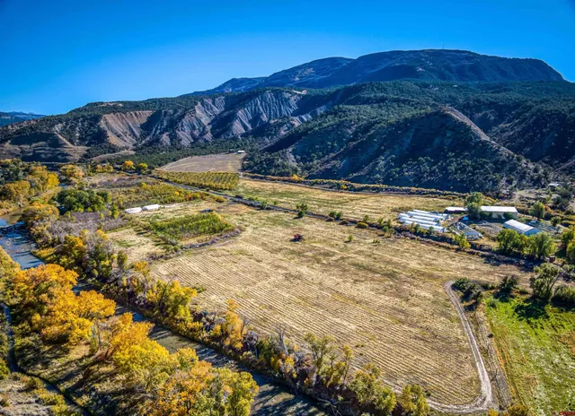 a view of a backyard with swimming pool