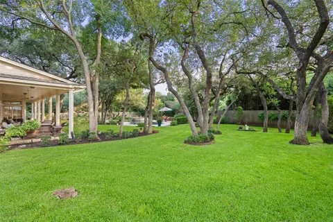 a view of a garden with a tree