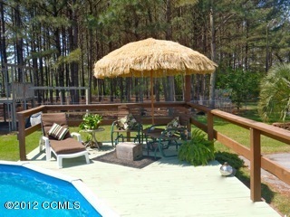 1540 Haw Branch Road Beulaville, NC 28518 - Photo 1 of 15 Pool