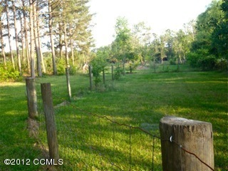 1540 Haw Branch Road Beulaville, NC 28518 - Photo 15 of 15 coral