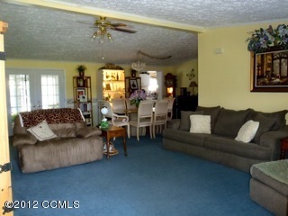 1540 Haw Branch Road Beulaville, NC 28518 - Photo 6 of 15 living room view 1