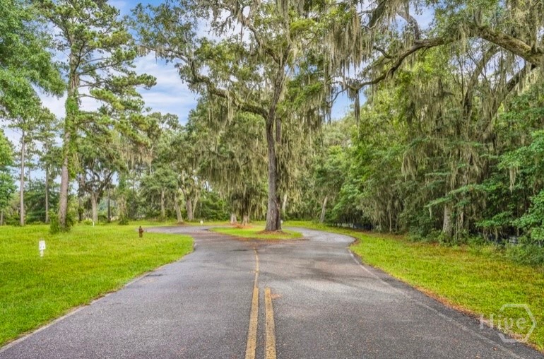0 Northeast Baker Island Way, Unit LOT 11 Townsend, GA 31331 - Photo 10 of 29 Gallery Image 10