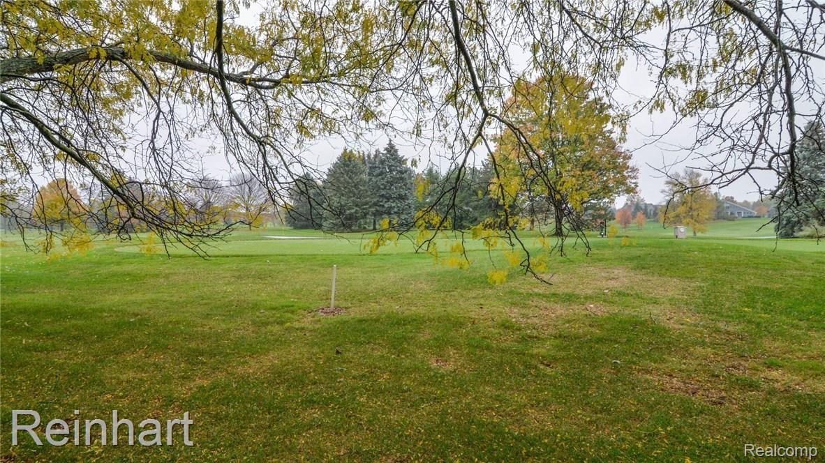 3039 Timberview Road Saline, MI 48176 - Photo 13 of 65 13299830_53.jpg