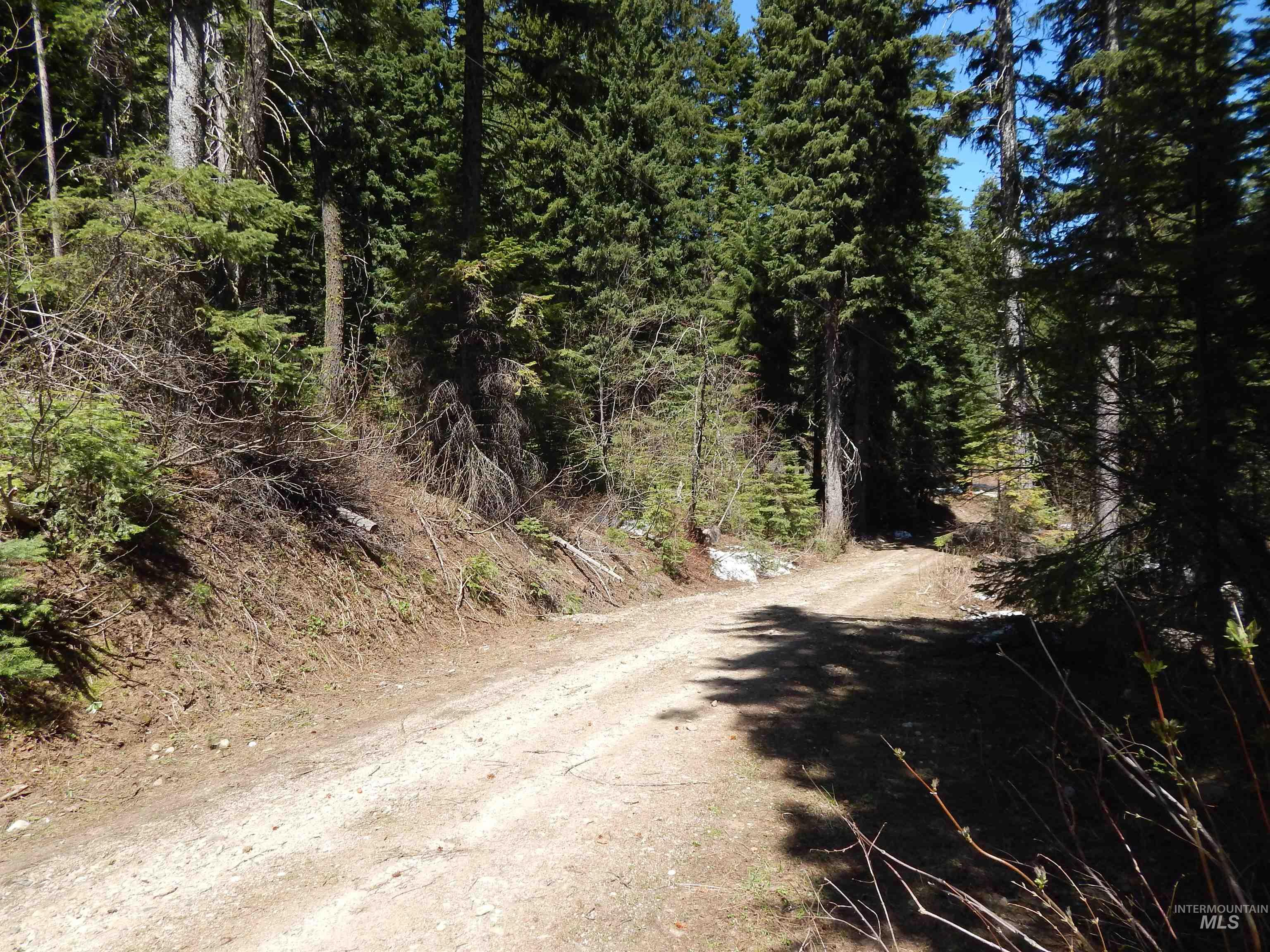 1601 Bear Trail Loop Cascade, ID 83611 - Photo 3 of 26