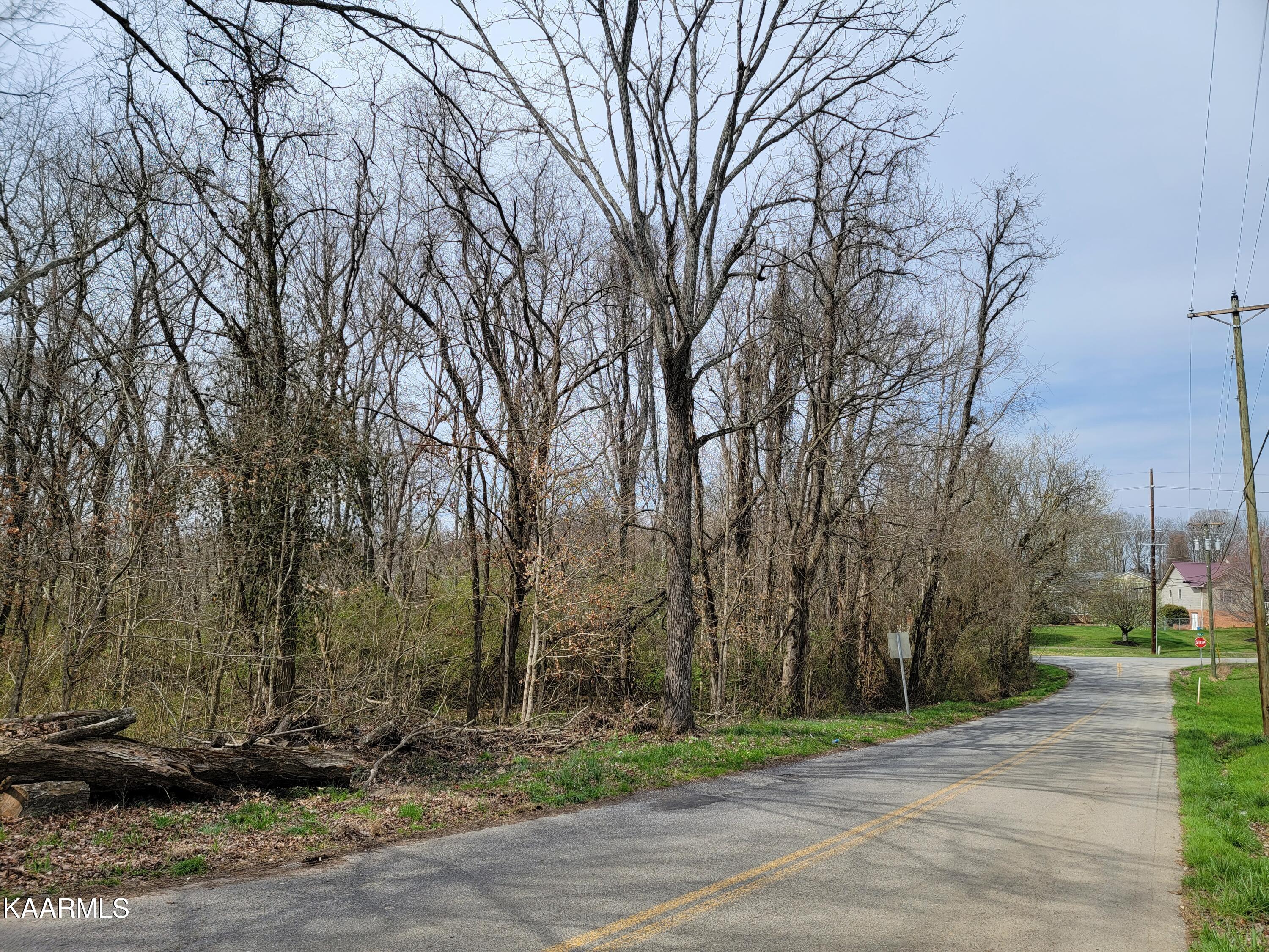 Shiloh Road Greeneville, TN 37745 - Photo 4 of 9 Cumberland Side