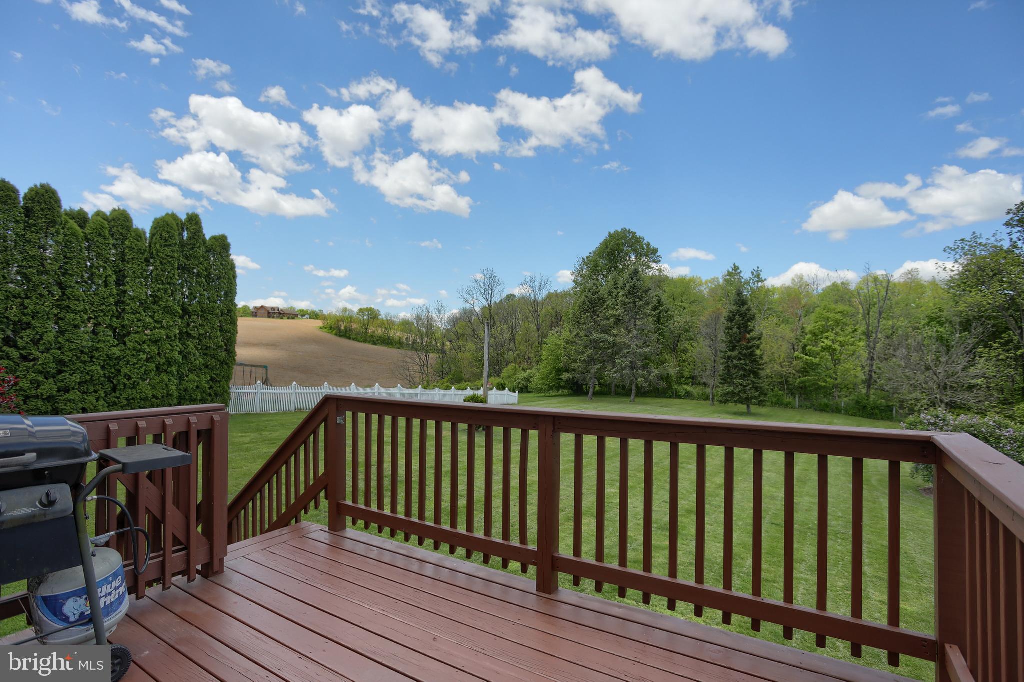 8 Host Road Womelsdorf, PA 19567 - Photo 33 of 49 Deck off of kitchen